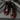 Conflict For Interest Loafer Rodolfo Burgandy