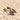 51550 Gold